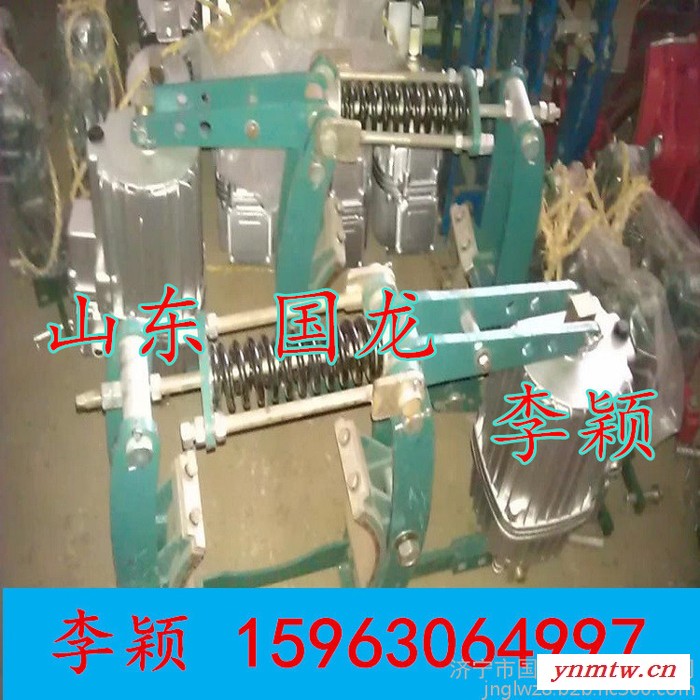 YWZ4-300/80电力液压制动器  刹车装置  金品能源2019图4