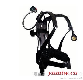 供应德尔格PA94 Plus德尔格PA94 Plus呼吸器图1