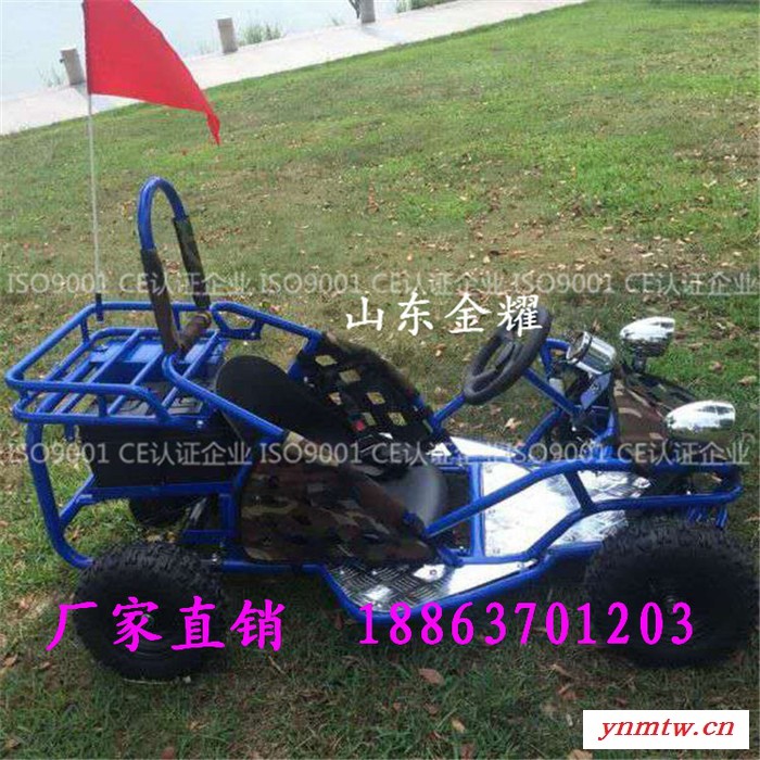 山东金耀JNJY游乐卡丁车儿童电动游乐小公牛参数树高万丈莫忘恩 人若辉煌莫忘恩图7