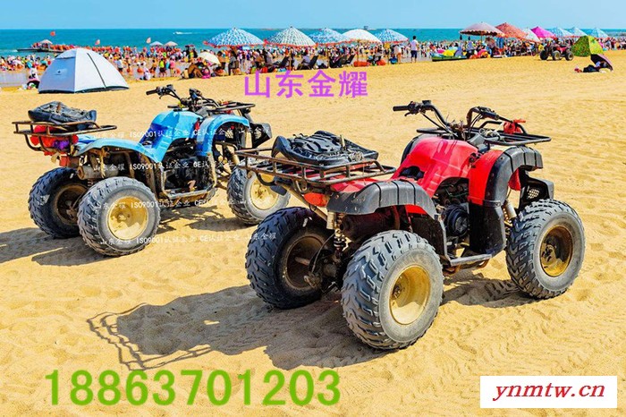 山东金耀JNJY游乐卡丁车儿童电动游乐小公牛参数树高万丈莫忘恩 人若辉煌莫忘恩图2