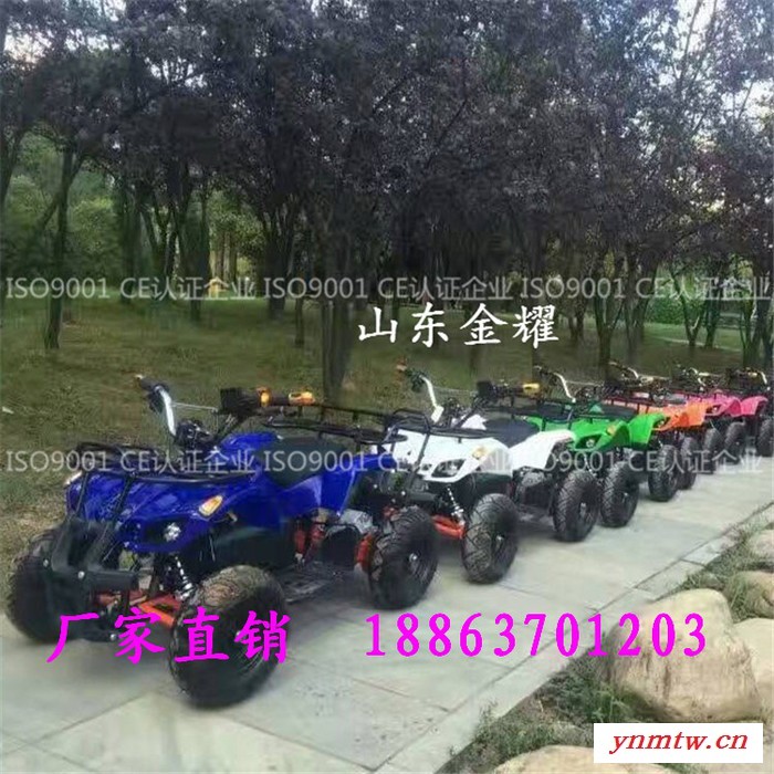 山东金耀JNJY游乐卡丁车儿童电动游乐小公牛参数树高万丈莫忘恩 人若辉煌莫忘恩图5