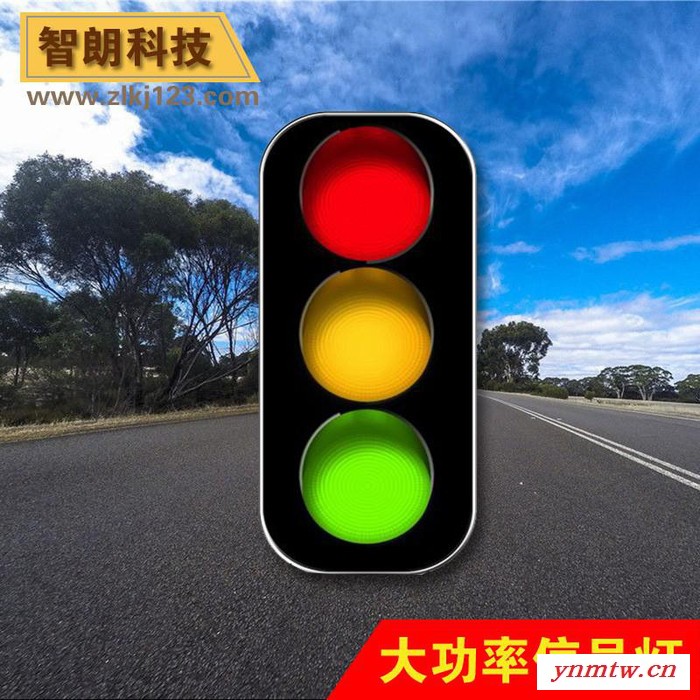 大功率LED交通信号灯/红绿灯/机动车信号灯图2