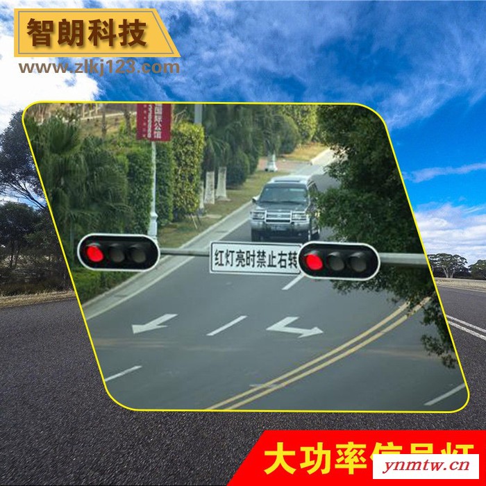 大功率LED交通信号灯/红绿灯/机动车信号灯图4