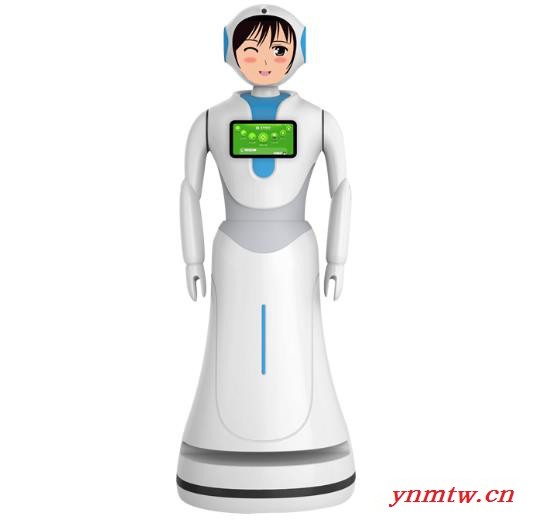 迎宾机器人租赁 政务展厅4S汽车店讲解机器人出租 出口机器人图5