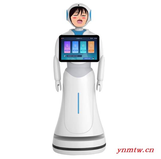 迎宾机器人租赁 政务展厅4S汽车店讲解机器人出租 出口机器人图2