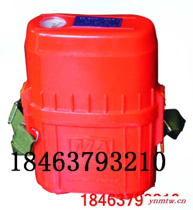 其他仪器仪表配附件HYZ-4隔绝式正压氧气呼吸器价格供应商，厂家，山东。图1