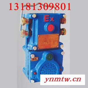 供应佳安 KXT12KXT12声光信号装置图1