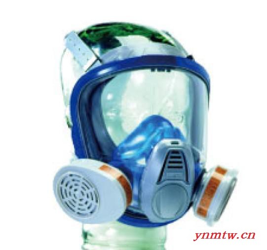 济南梅思安 10028996优越型 3200全面罩 呼吸器