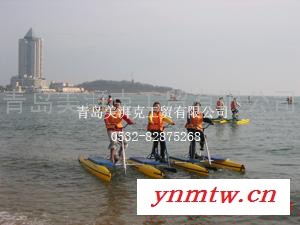 供应水上单车/三人水上自行车图2