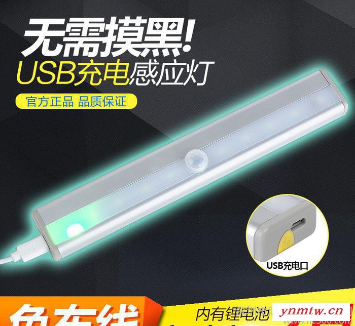 感应灯  车用灯 人来即亮 人走即灭 马桶灯 橱柜灯图2