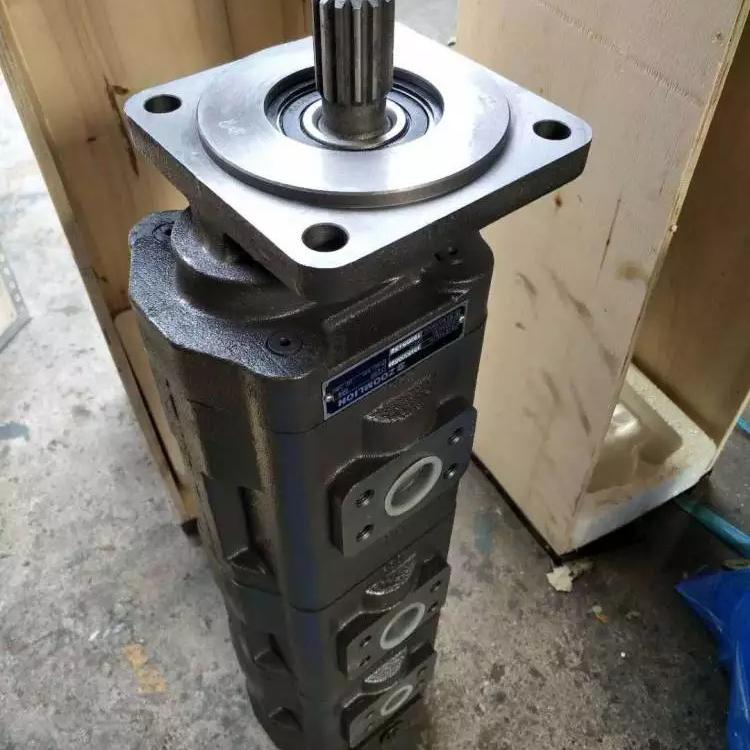 重庆掘进机双联齿轮泵_厂家