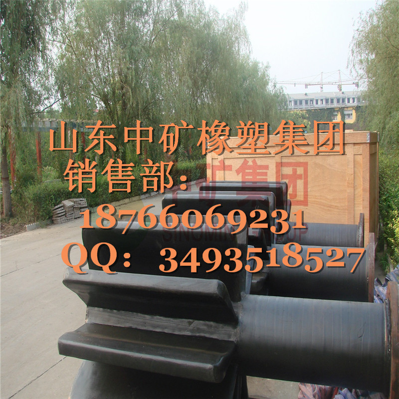 定子转子 (11)