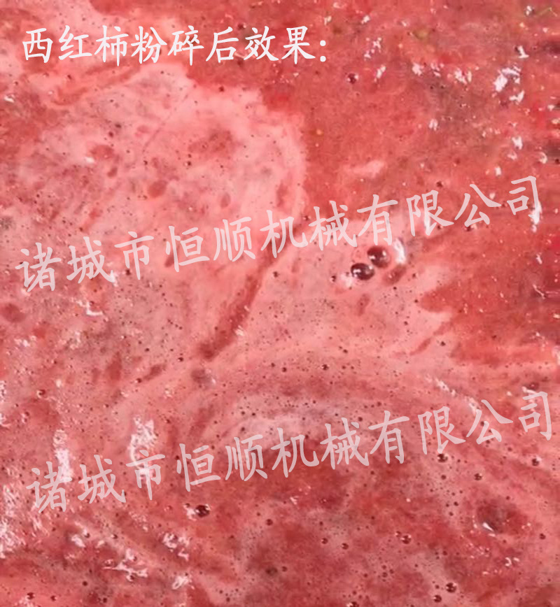 hs 西红柿