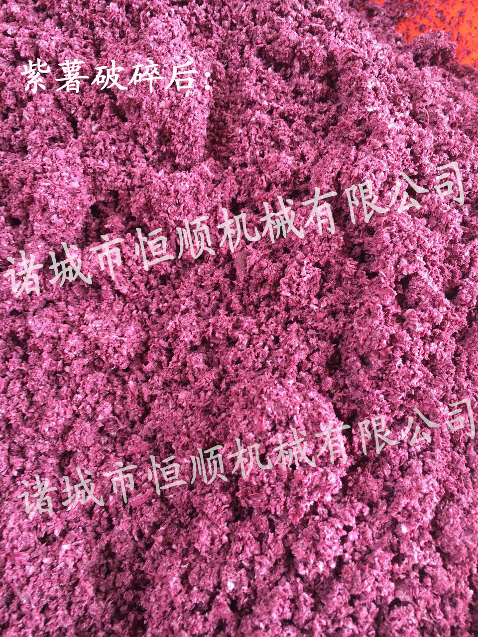 54818559618063512
