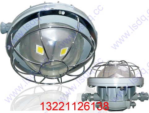 DGS40/127L矿用隔爆型LED巷道灯