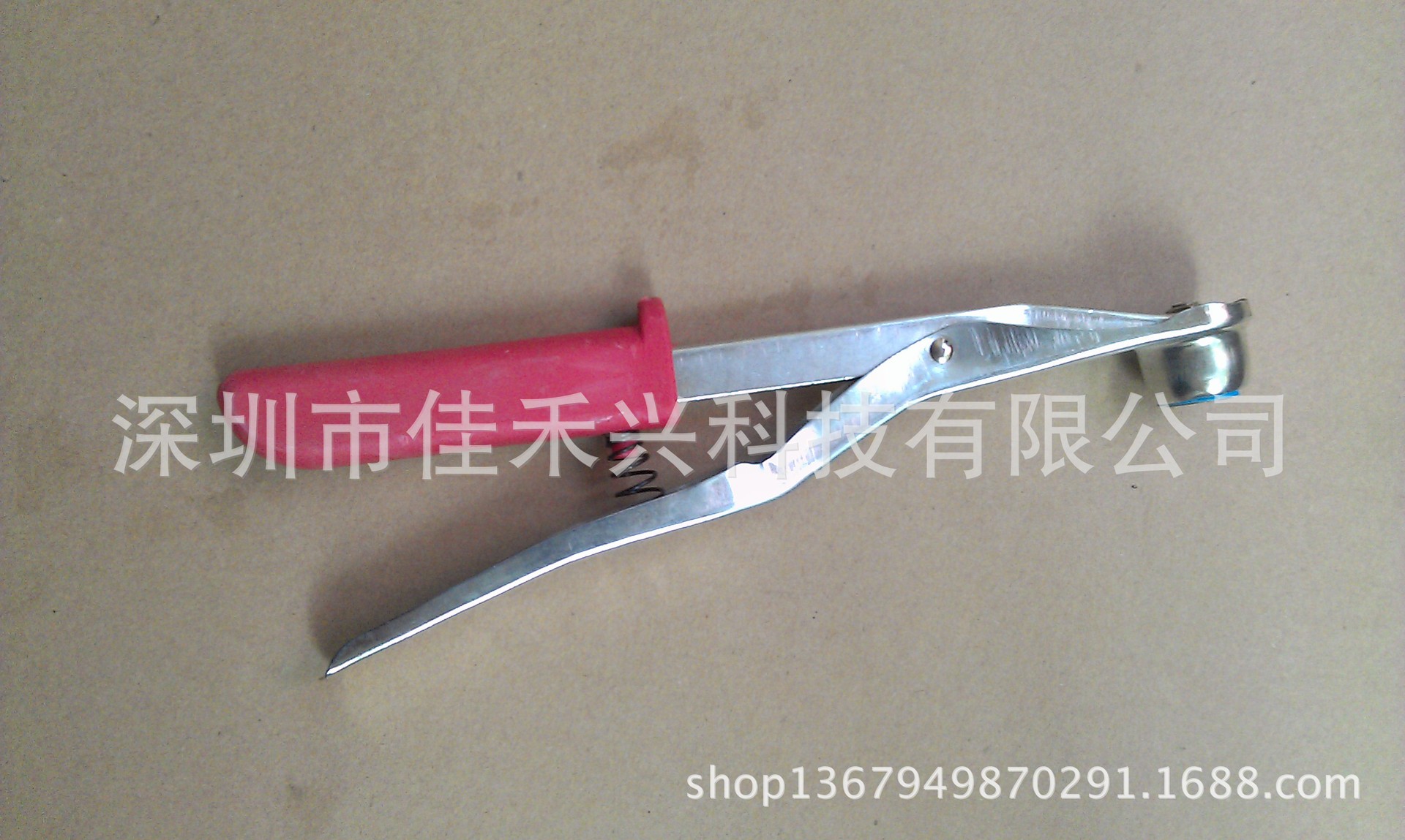 IMAG0532