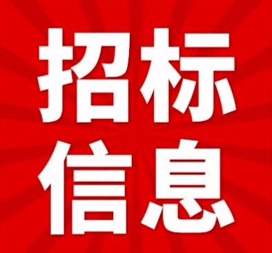 胜利能源2024年三季度激振器总成询价采购图1